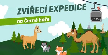 Zvířecí expedice na Černé hoře 