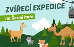 Zvířecí expedice na Černé hoře 