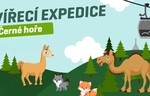 Zvířecí expedice na Černé hoře 