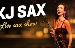 Bullbar: KJ SAX