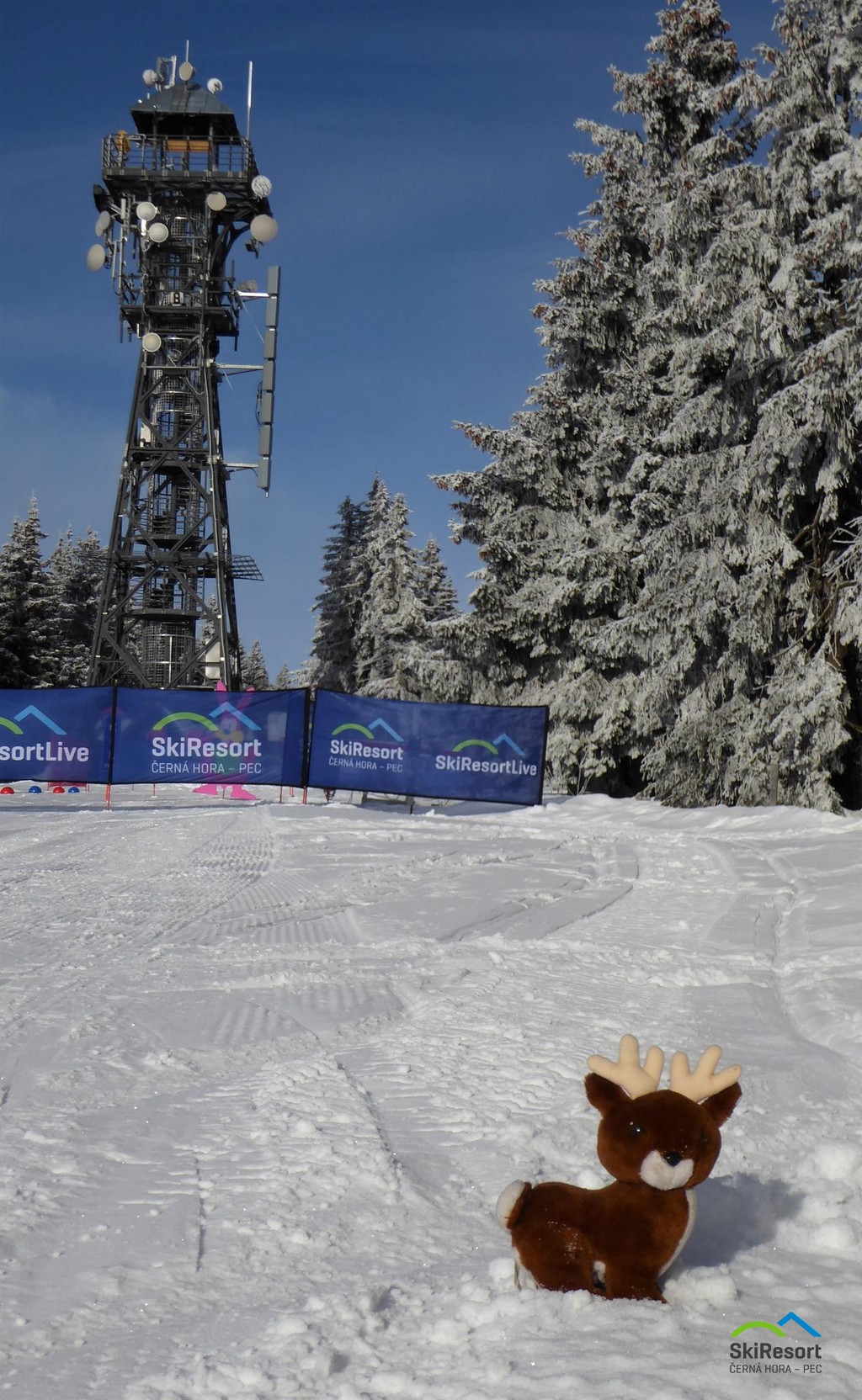 Černá hora - SkiResort ČERNÁ HORA - PEC
