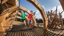 Prolézat můžete i pod žebry padlého jelena