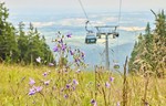 Current operation of lifts and attractions in SkiResort 