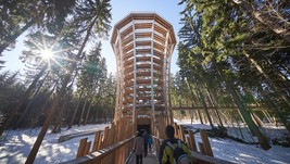 Go on the Treetop Trail after skiing