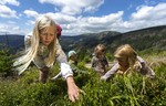 The summer holidays are ending, but the mountain adventures are not. What will be open at SkiResort 